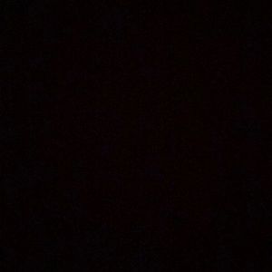 Meet your Posher, Abigail